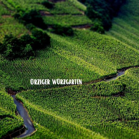 Apartment Weingut Dr Hermann I Erden Esterno foto